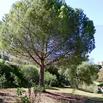 La Coulina * Niza