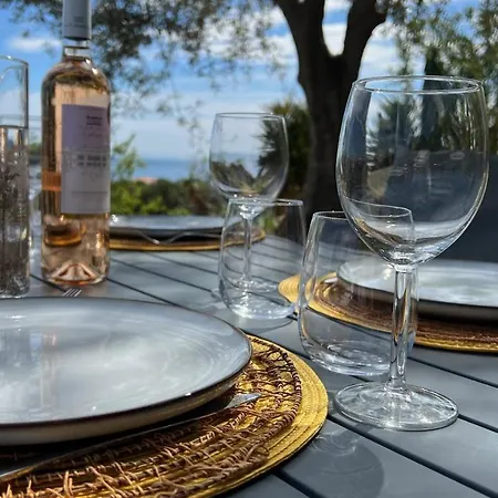 La Coulina Villa Nice