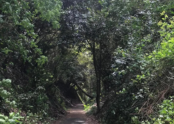 La Coulina Νίκαια