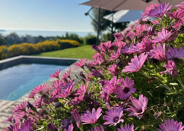 La Coulina Βίλα Νίκαια